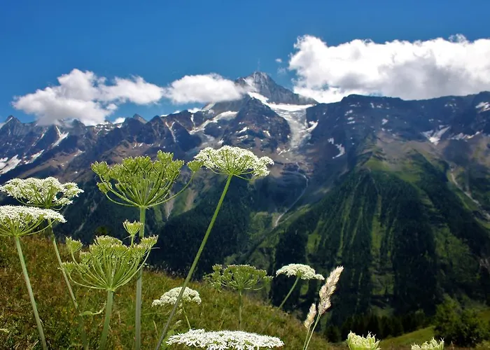 Han/Misafirhane Petersgrat Kippel